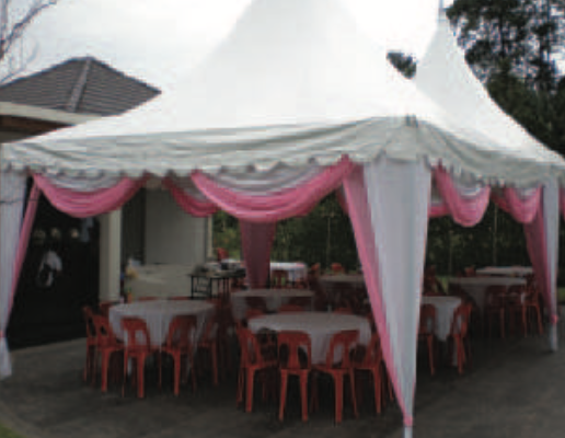 Scallop with pink/white