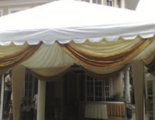 Scallop with gold/cream